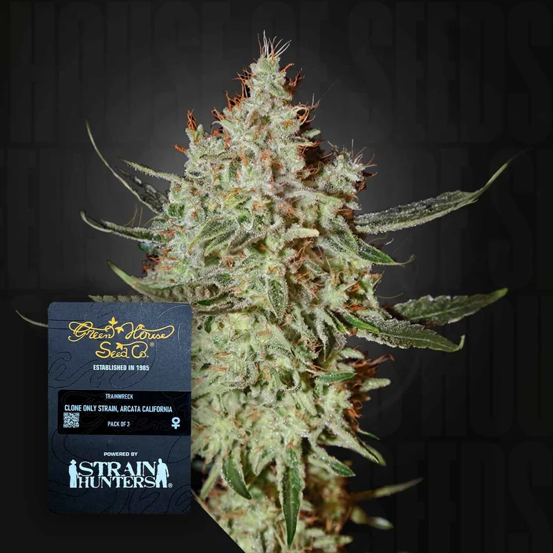 Train Wreck van Green House Seed Co.