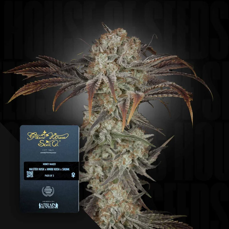 Money Maker van Green House Seed Co.