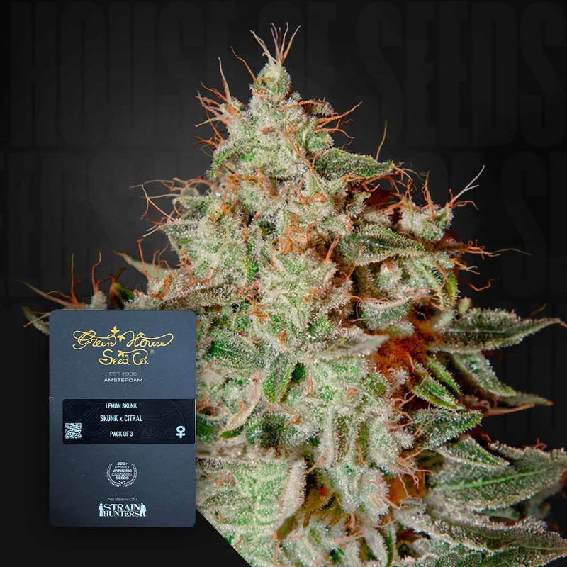 Lemon Skunk van Green House Seed Co.
