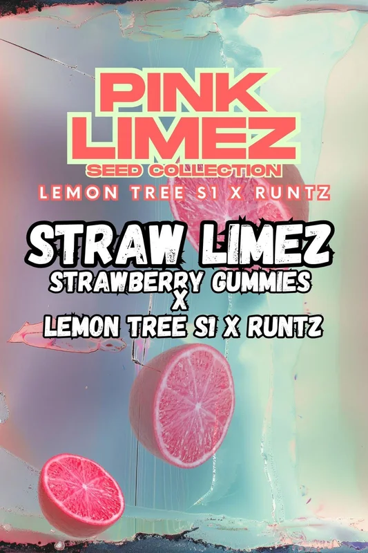Straw Limez van Grounded Genetics