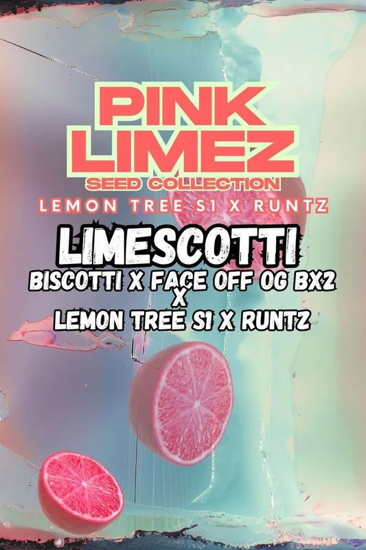 Limescotti van Grounded Genetics