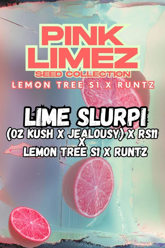 Lime Slurpi van Grounded Genetics
