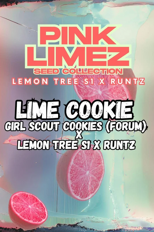 Lime Cookie van Grounded Genetics