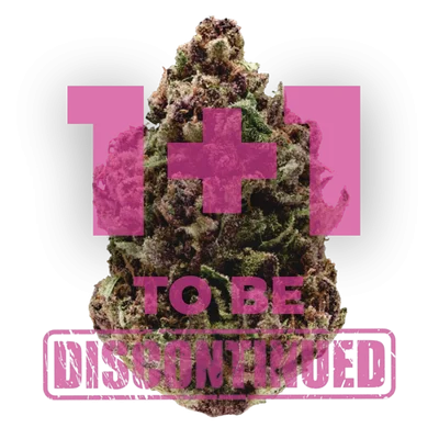 Pink Magic fast version van Growers Choice