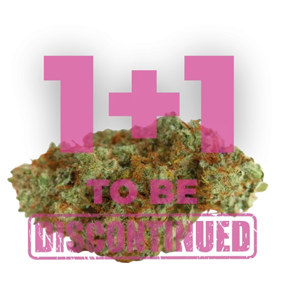 White fire gelato van Growers Choice