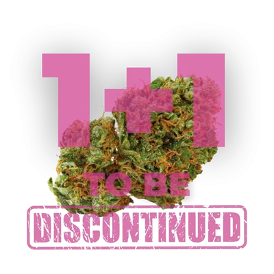 Grapefruit x bubblegum van Growers Choice