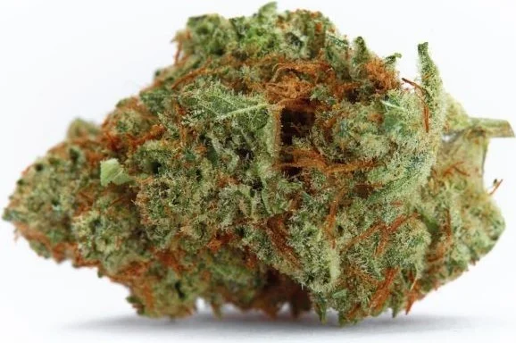Naranja Biscotti Fast version van Growers Choice
