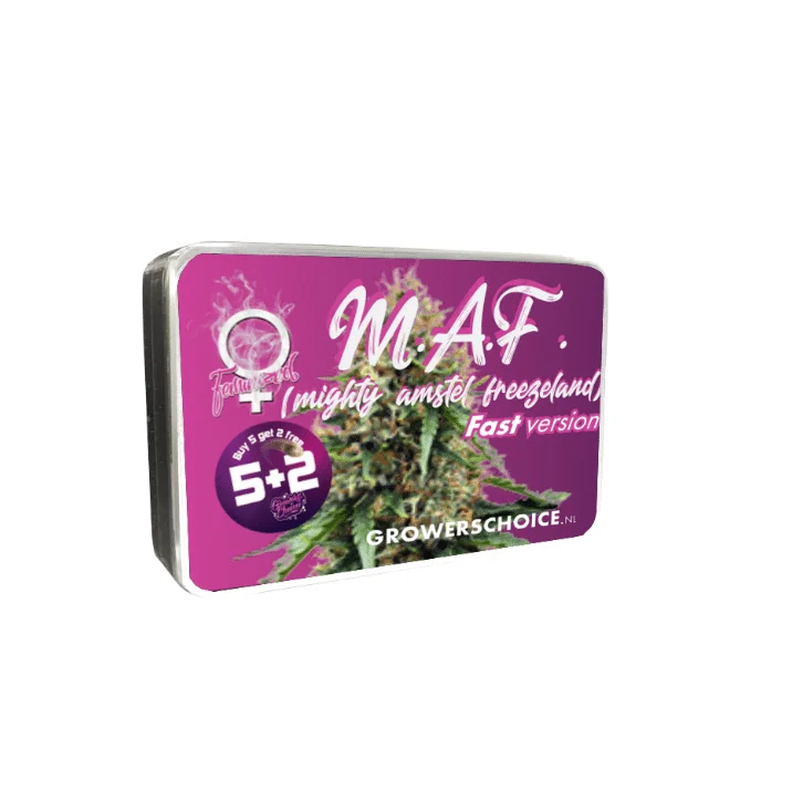 MAF Mighty Amstel Freezeland van Growers Choice