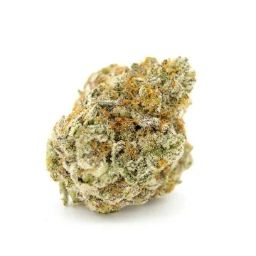 Forbidden Runtz Double XL van Growers Choice