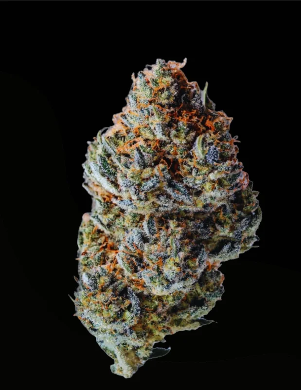 Toad Venum van Growers Choice