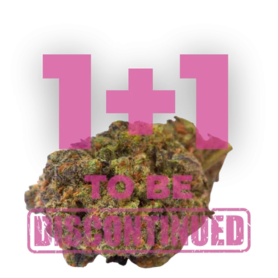 wifi punch van Growers Choice