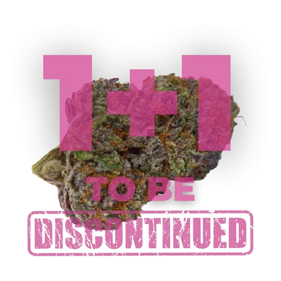 Purple dosi punch van Growers Choice