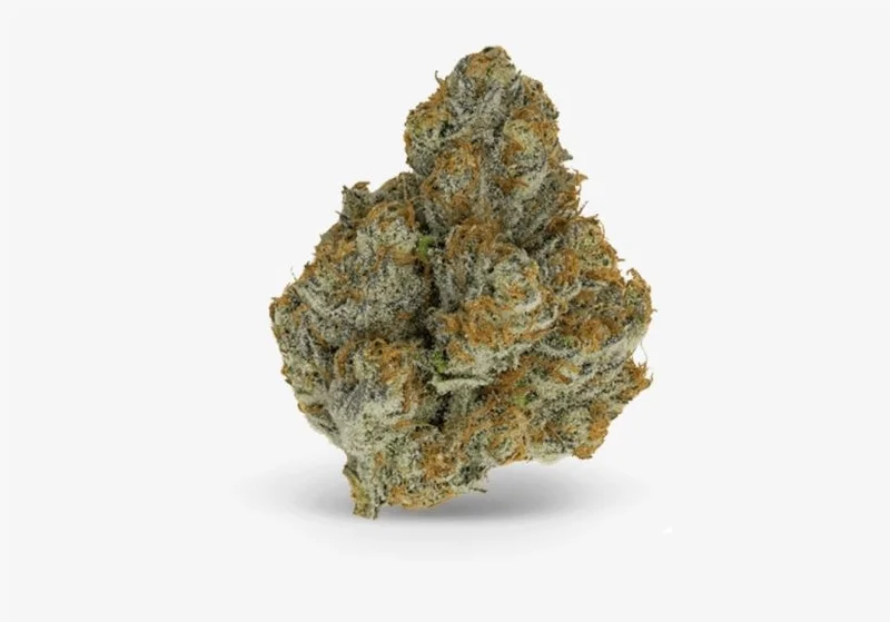 Blue Zushi van Growers Choice Seeds