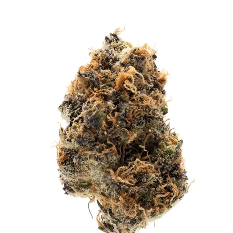 Watermelon Punch van Growers Choice Seeds