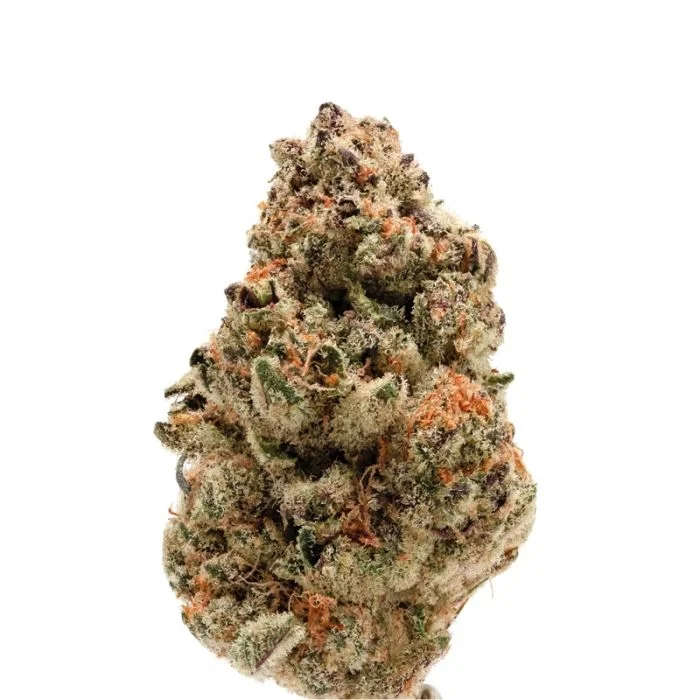 Rainbow Candy van Growers Choice Seeds