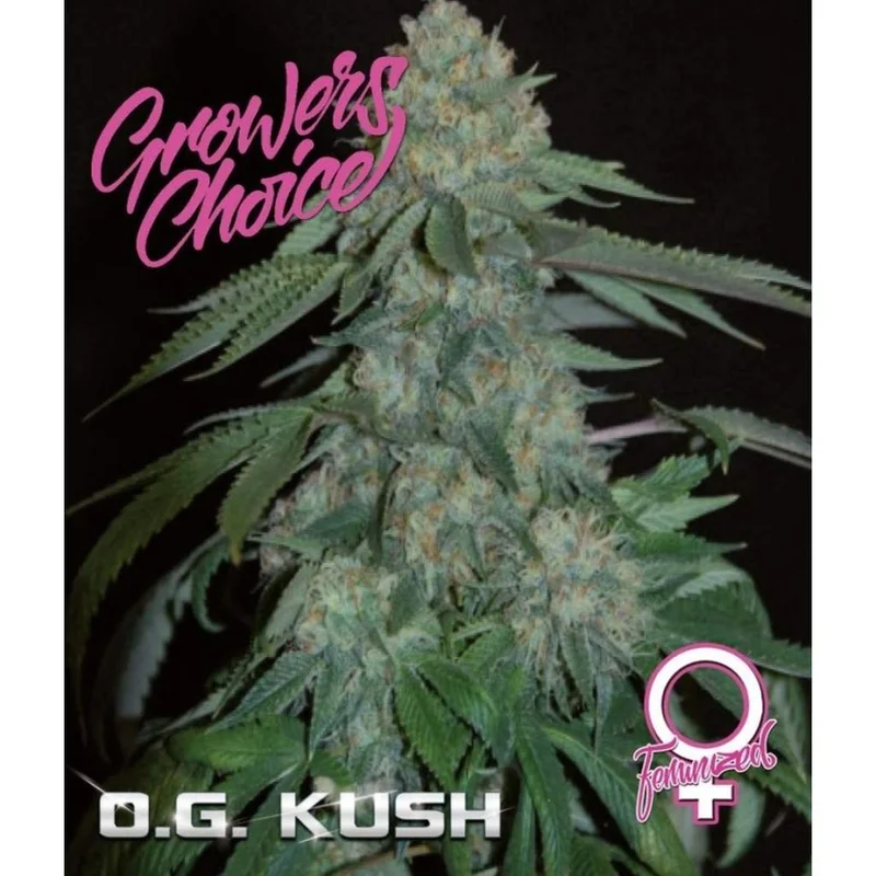 OG Kush van Growers Choice Seeds