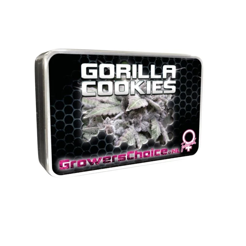 Gorilla Cookies van Growers Choice Seeds