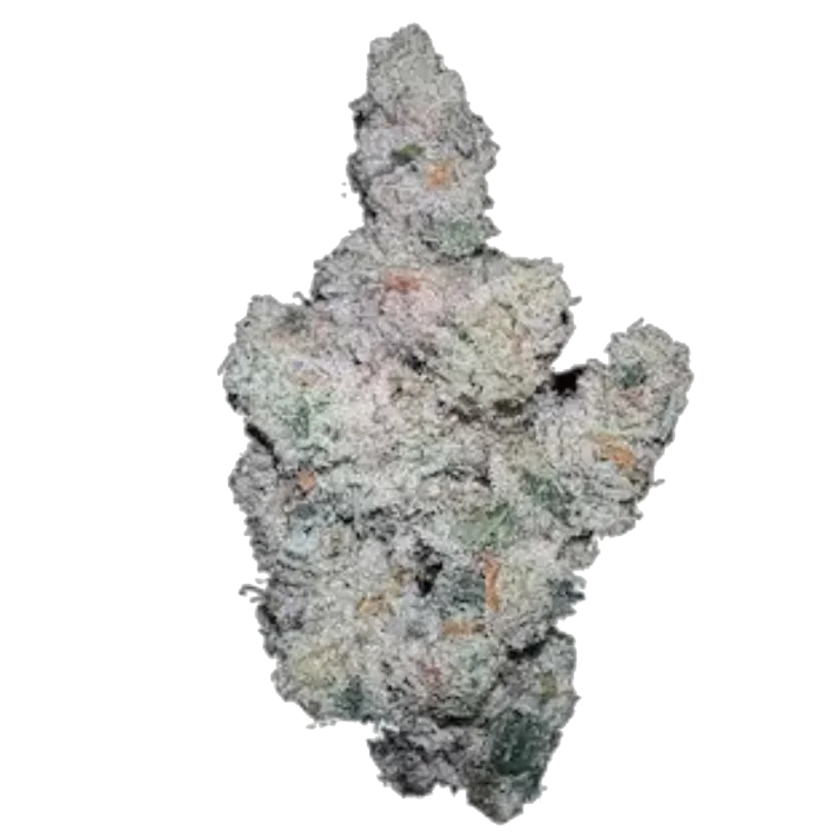 Super Boof van Growers Choice Seeds
