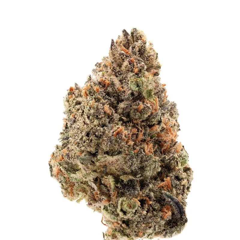 Tangie Punch van Growers Choice Seeds