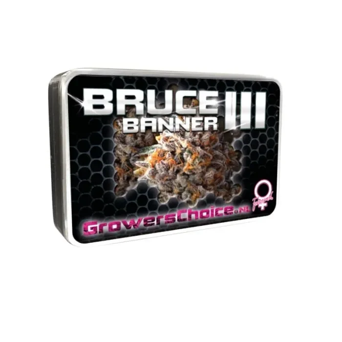 Bruce Banner III van Growers Choice Seeds