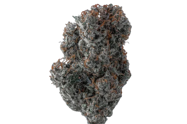 Applez and Bananaz van Growers Choice Seeds