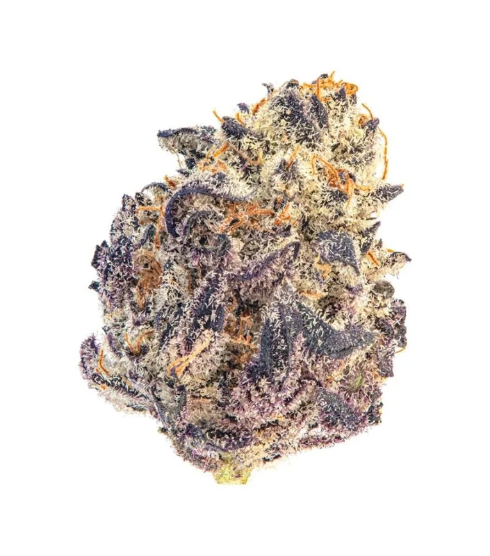 Cherry MAC Muffin van Growers Choice Seeds