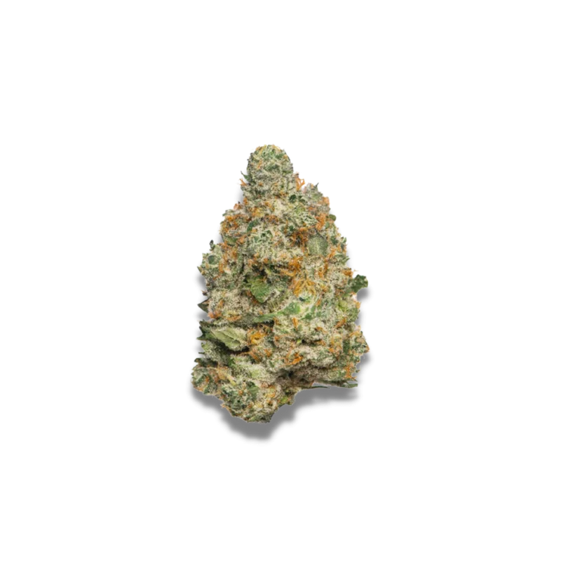 Apple Fritter van Growers Choice Seeds