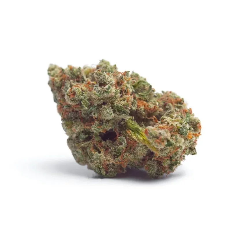 Tropicana Wedding Cake van Growers Choice Seeds