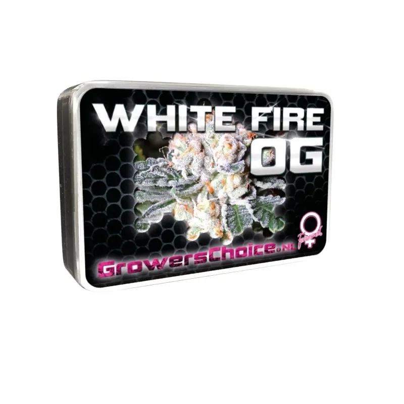 White Fire OG van Growers Choice Seeds