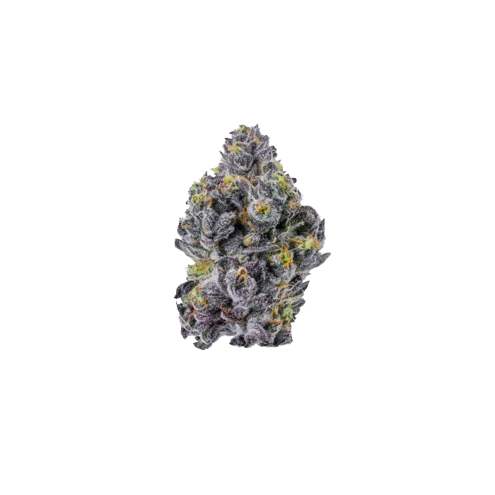 Sticky Wasabi Triploid F1 van Growers Choice Seeds