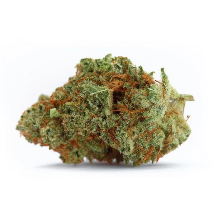 Naranja Biscotti Fast Version van Growers Choice Seeds