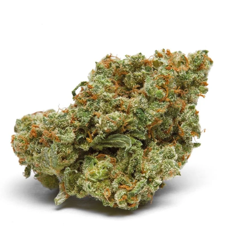 The Real Amnesia van Growers Choice Seeds