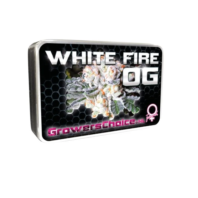 White Fire OG van Growers Choice Seeds