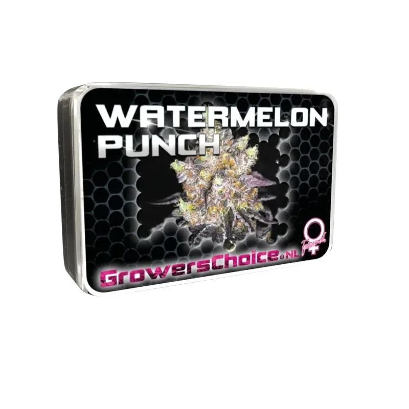 Watermelon Punch van Growers Choice Seeds