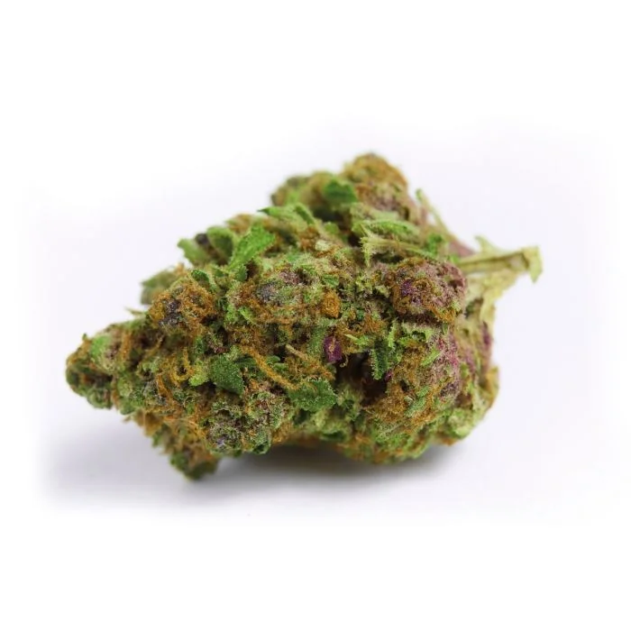 Red Banana Berry van Growers Choice Seeds