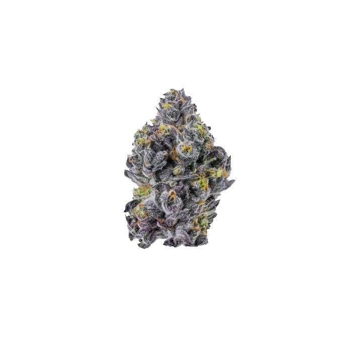 Sticky Wasabi Triploid F1 van Growers Choice Seeds