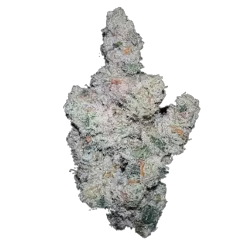 Super Boof van Growers Choice Seeds