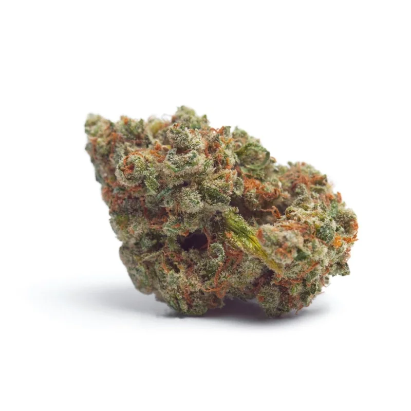 Tropicana Wedding Cake van Growers Choice Seeds