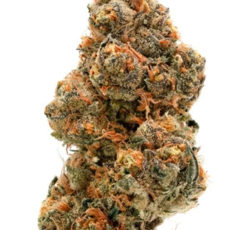 Wedding Cake x Frosty Gelato Double XL van Growers Choice Seeds