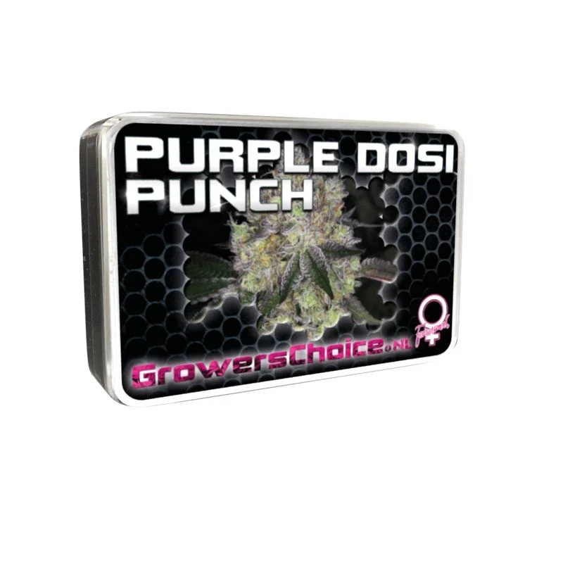 Purple Dosi Punch van Growers Choice Seeds