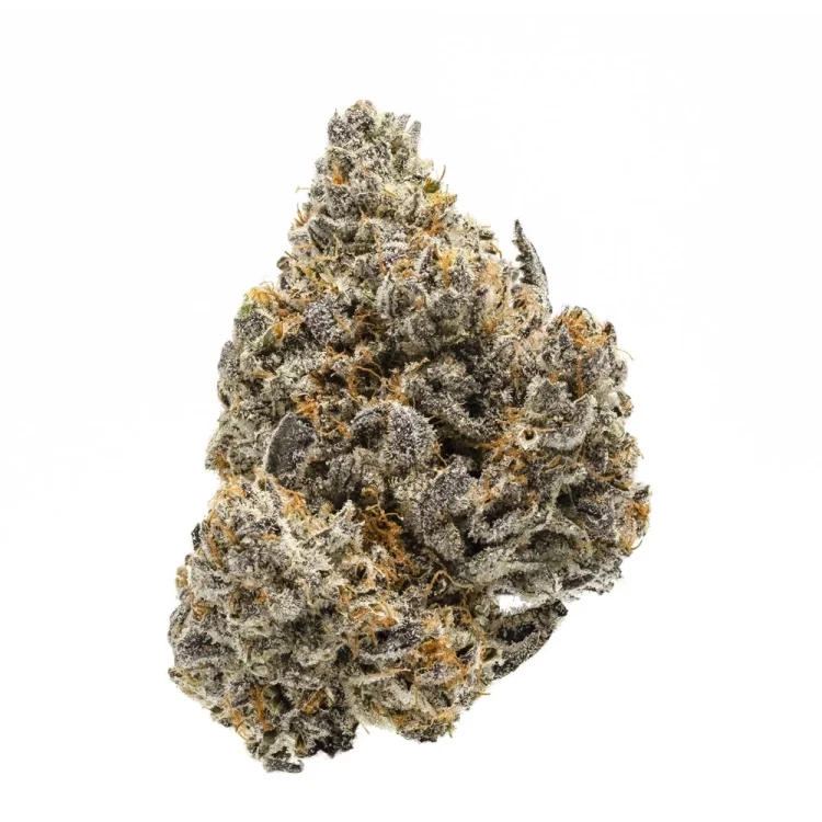 Rainbow Runtz van Growers Choice Seeds