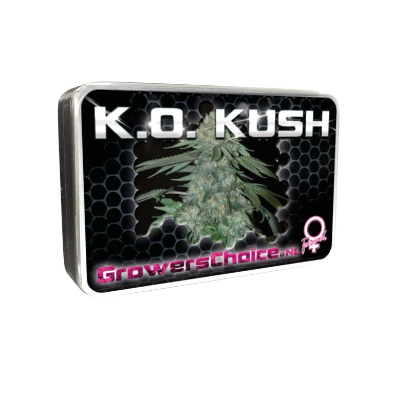 KO Kush van Growers Choice Seeds