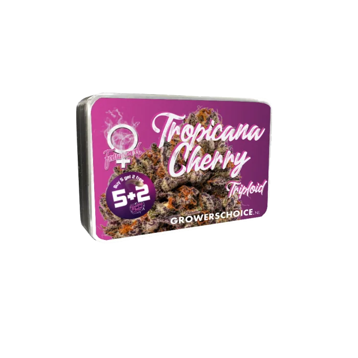 Tropicana Cherry Triploid F1 van Growers Choice Seeds