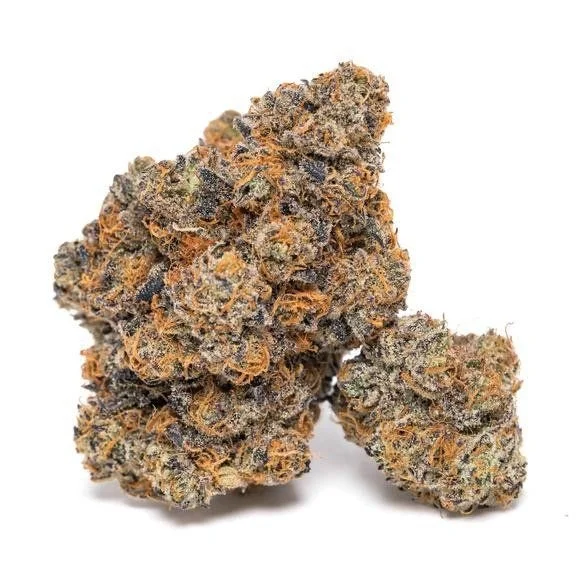 King Louis Garcia van Growers Choice Seeds