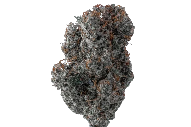 Applez and Bananaz van Growers Choice Seeds