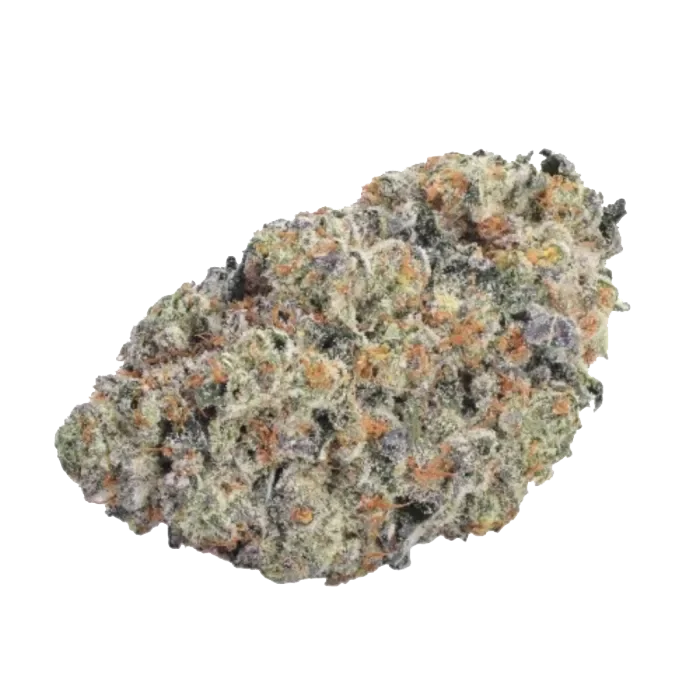 Double Donny Burger van Growers Choice Seeds