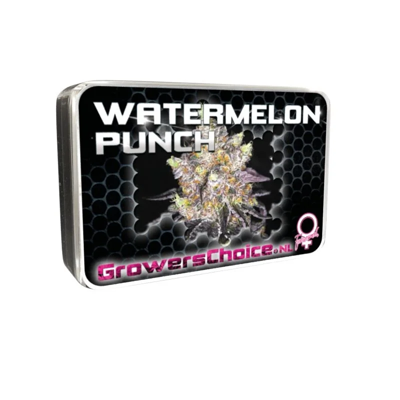 Watermelon Punch van Growers Choice Seeds