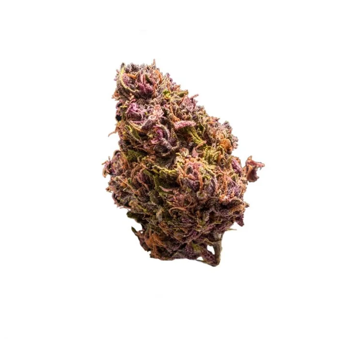 Red Jack van Growers Choice Seeds