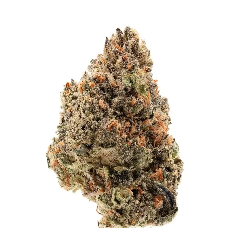 Tangie Punch van Growers Choice Seeds