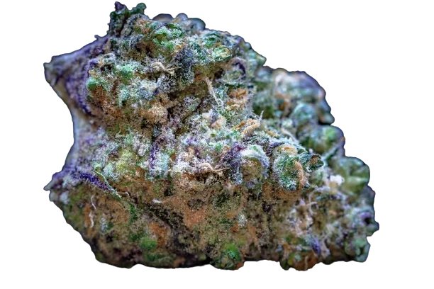 Frozen Cherry Runtz van Growers Choice Seeds